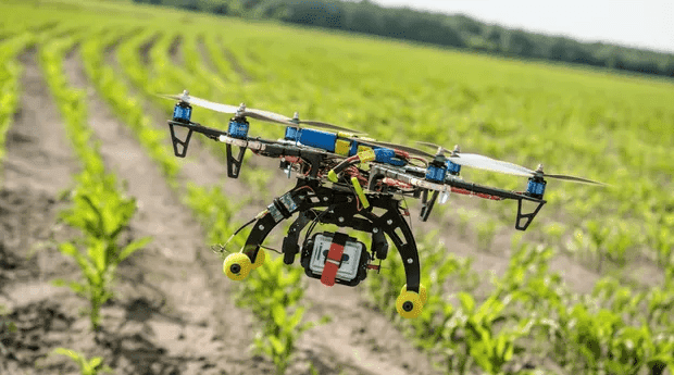 Metade das startups do agronegócio já passou por pivotagem, diz pesquisa
