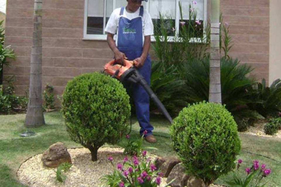 Aos 15 anos, eles criaram negócio de jardinagem com cortador emprestado e hoje faturam US$ 560 mil