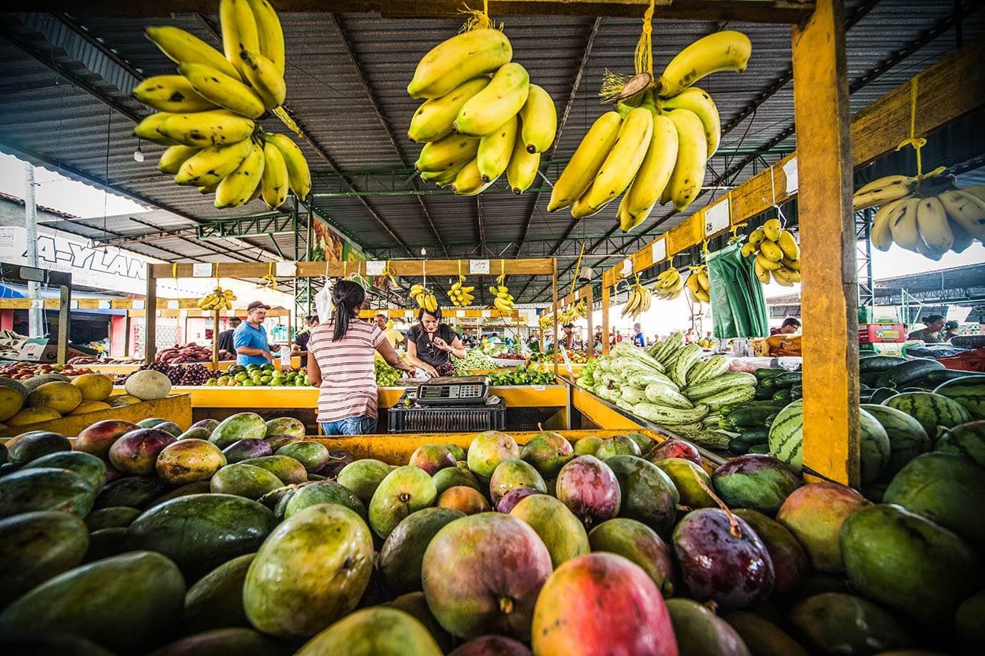 O que deve colocar a produção de alimentos em risco? A FAO tem uma tese