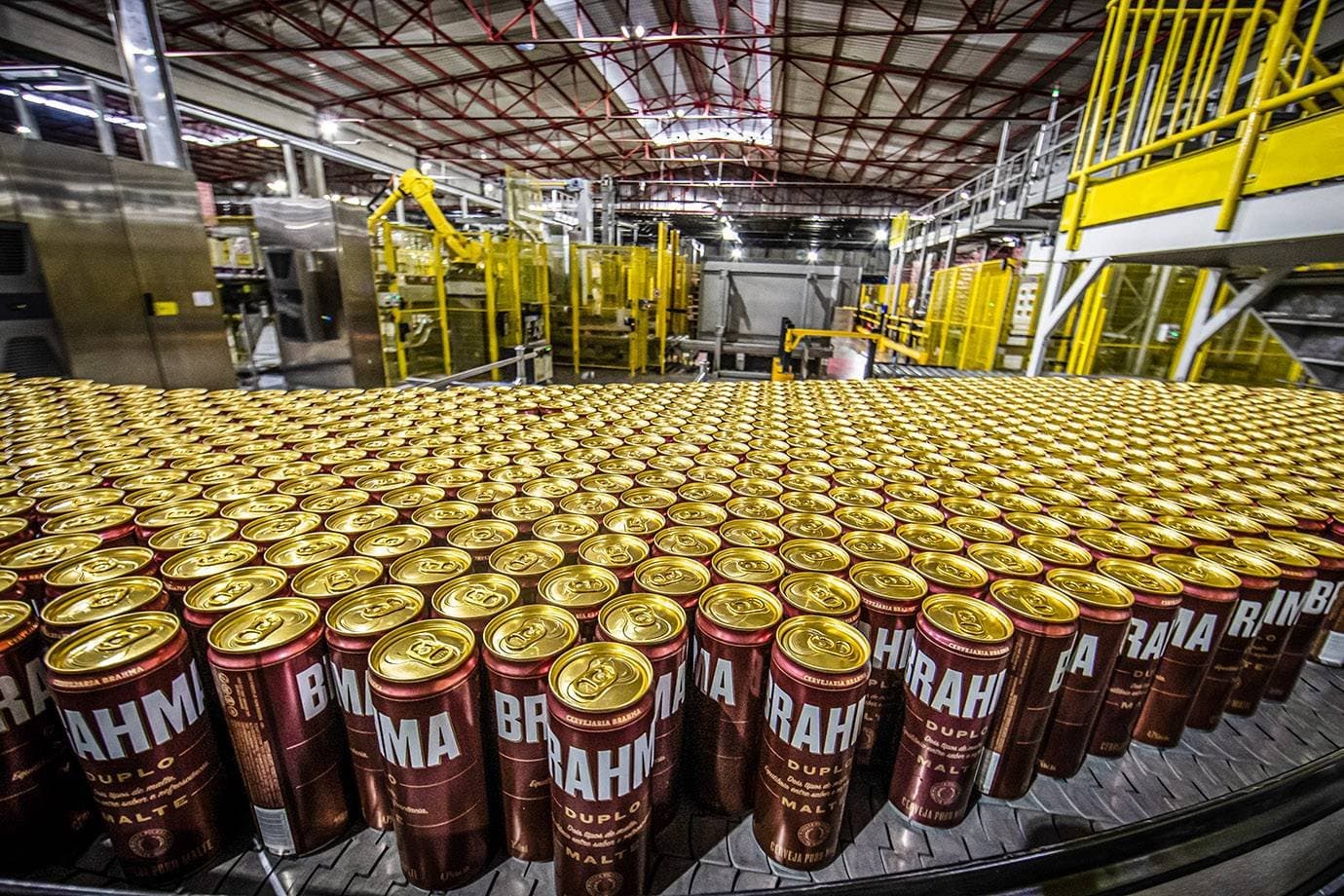 BTG inclui Ambev em carteira de ações de julho e traz Allos de volta