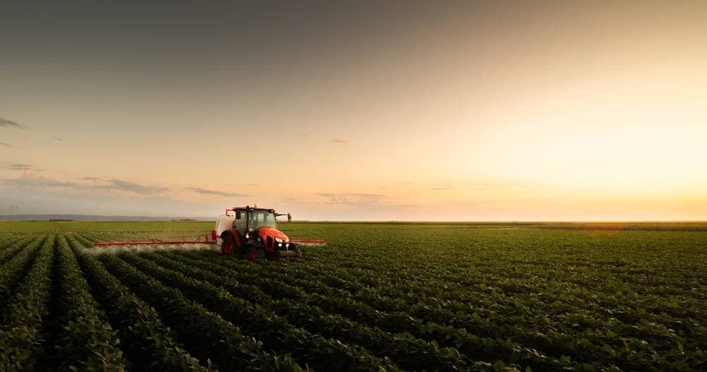 Quase todo o crédito do agro vai para a expansão de terras, aponta estudo