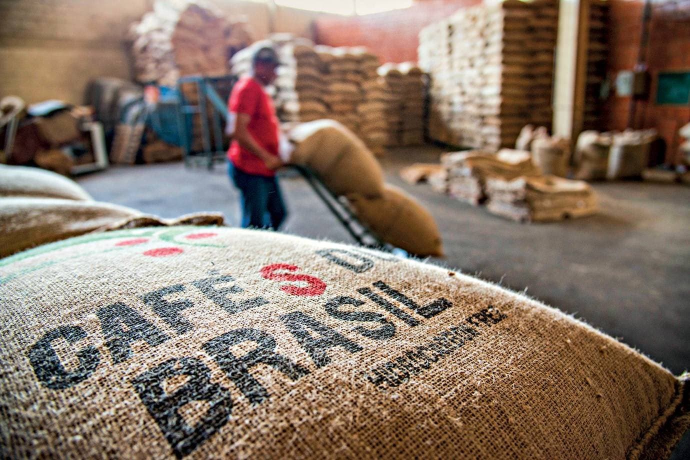 Os preços do café devem cair no segundo semestre — se o El Niño deixar