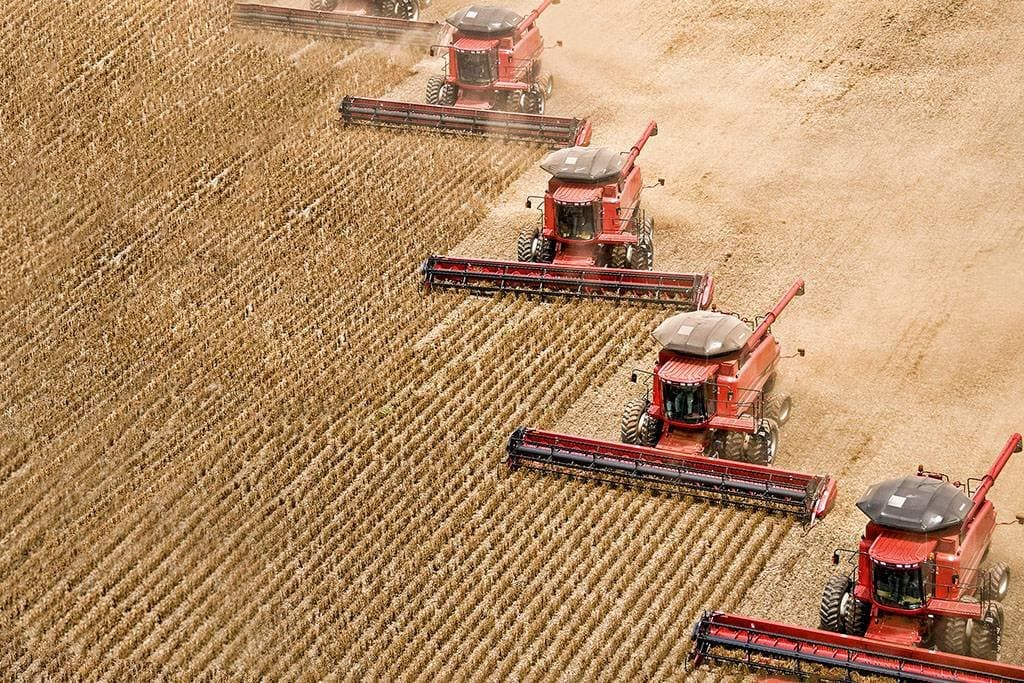 Recorde renovado: Conab eleva estimativa para 360 milhões de toneladas em 2025/26
