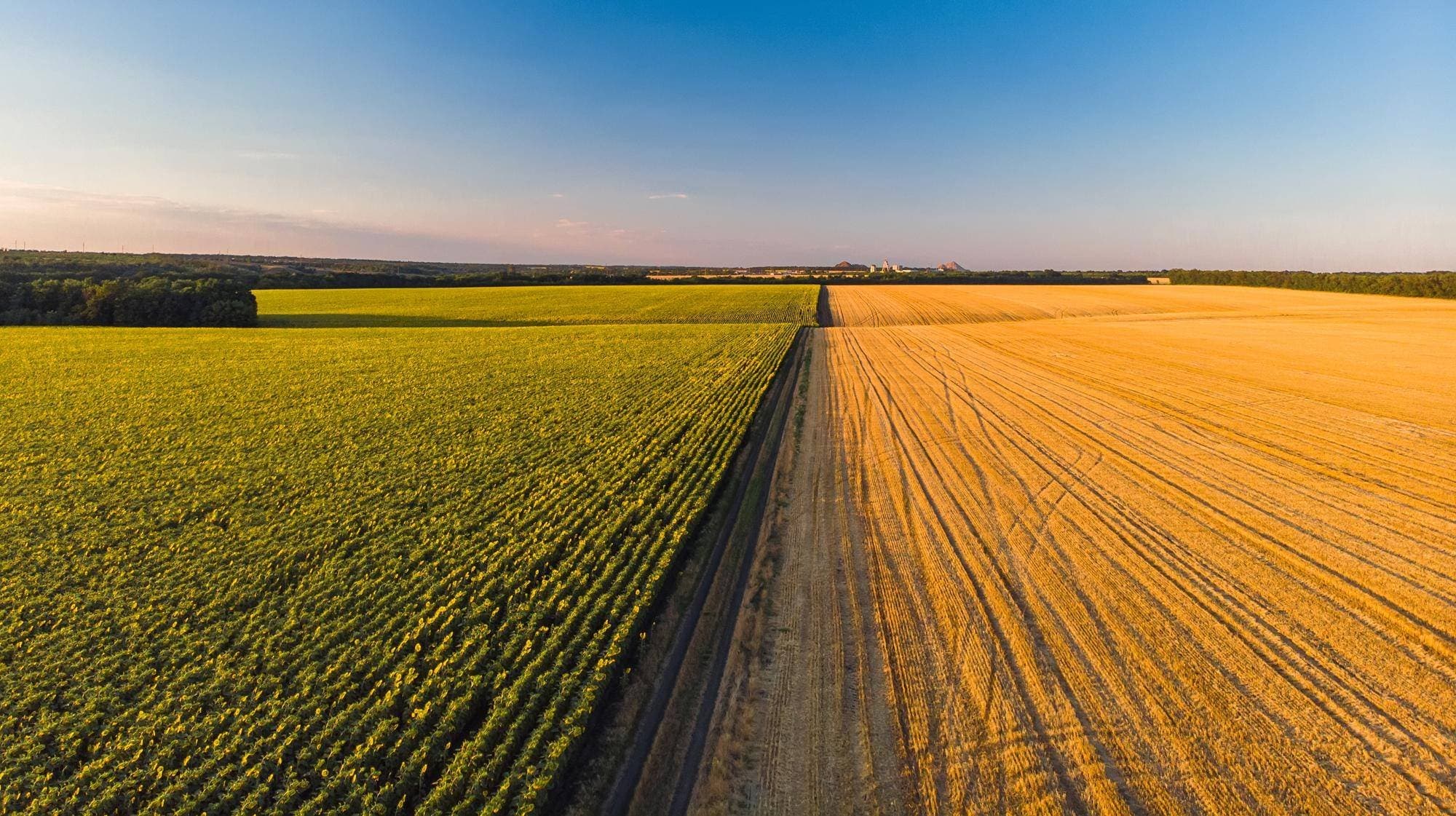Em acordo com o agronegócio, governo anuncia MP de repactuação de dívidas do setor