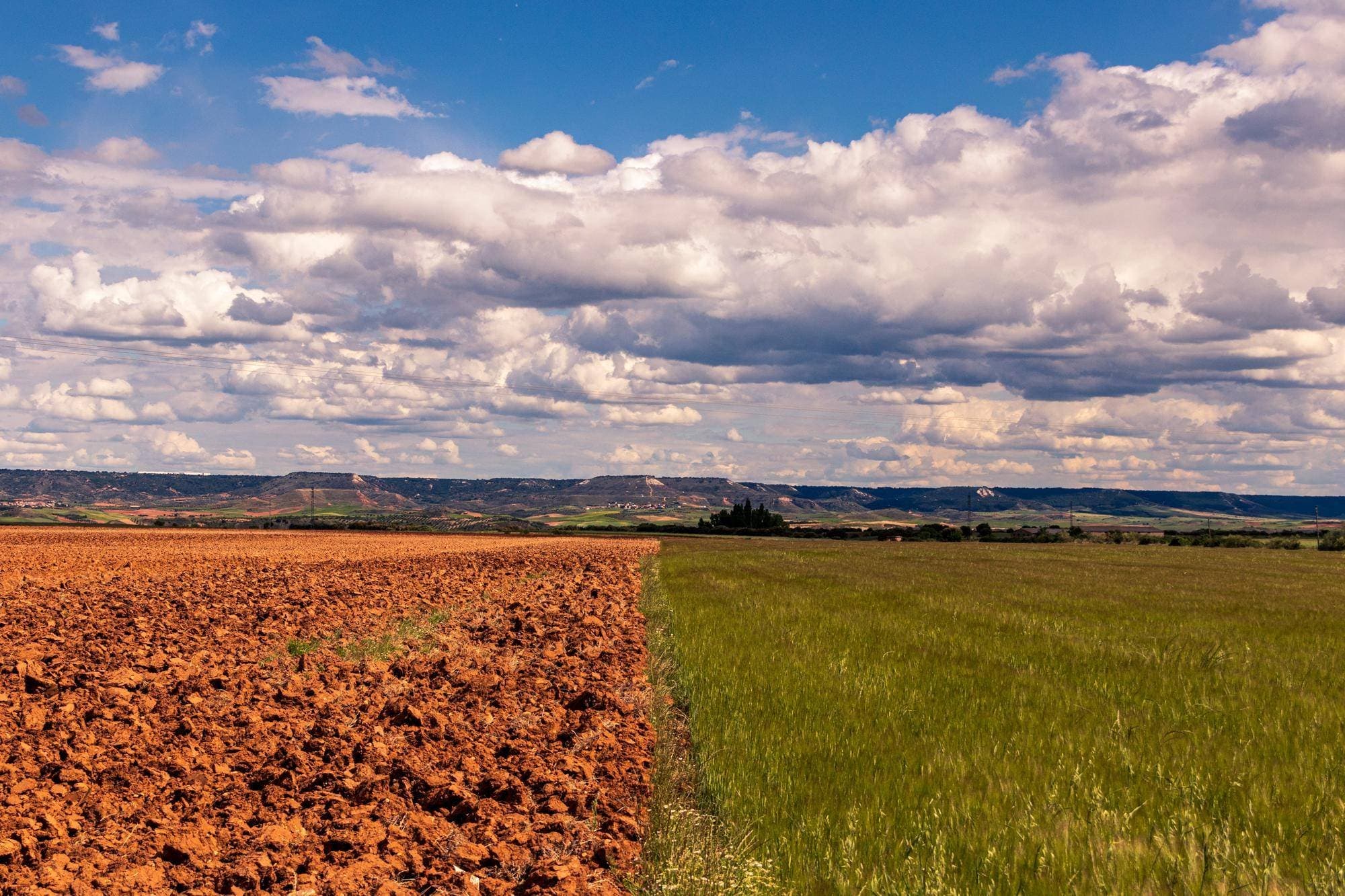 Super El Niño: o que o fenômeno climático mais intenso desde 1950 pode significar para o agro