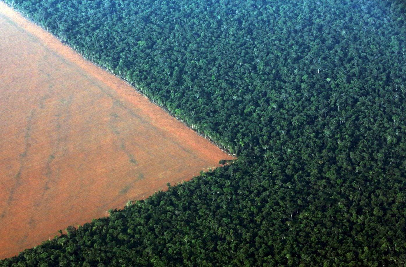 Brasil perde 14% de vegetação nativa em 40 anos e fica mais exposto ao El Niño