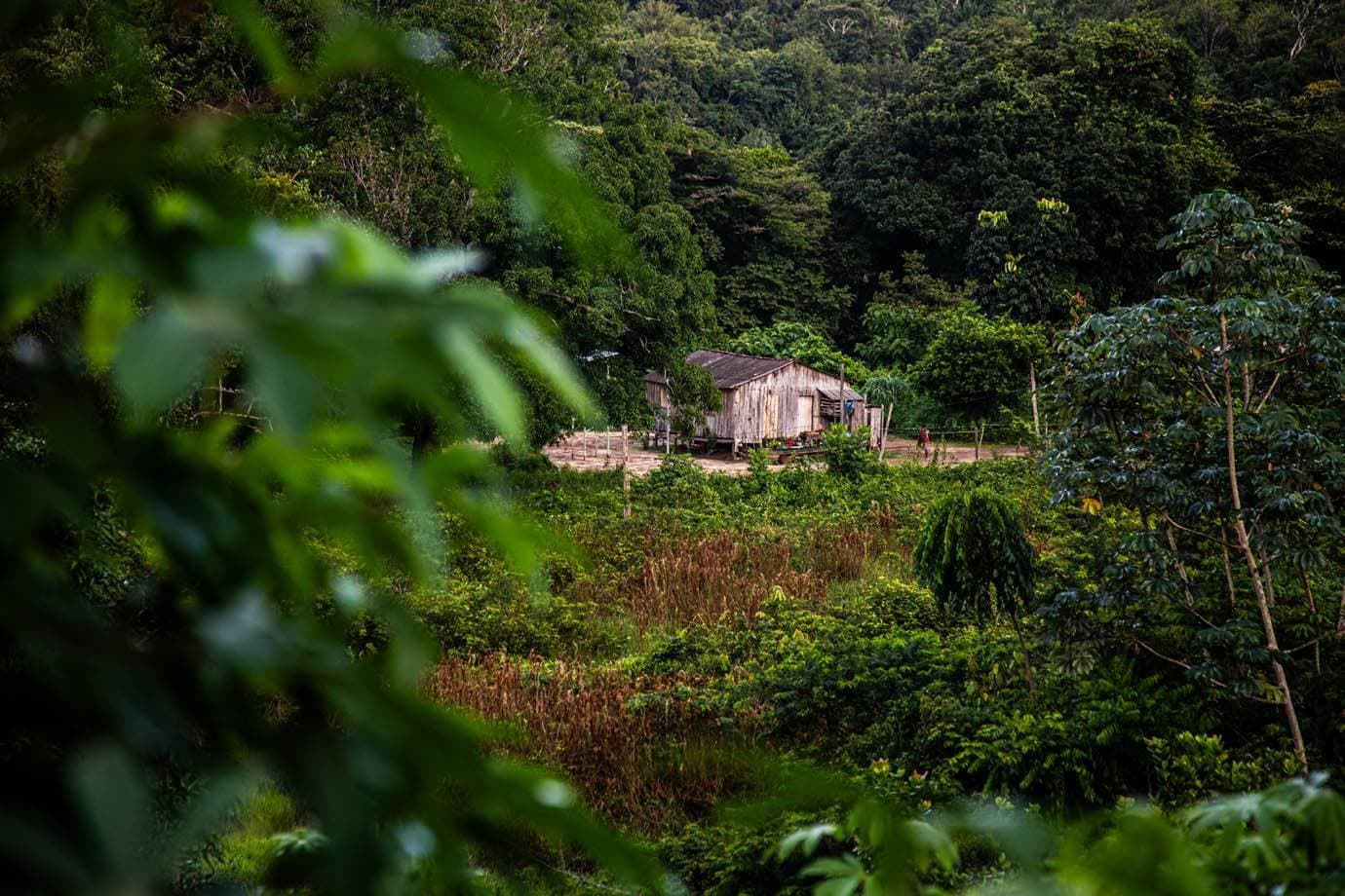 Minerais críticos são oportunidade para redefinir o desenvolvimento das Amazônias