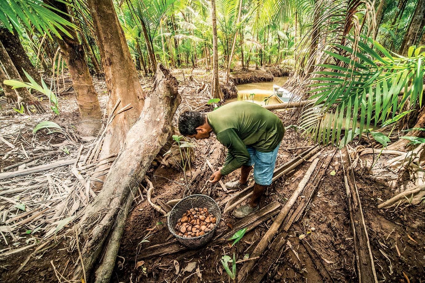 Amazon passa a vender produtos da floresta e gera renda para comunidades amazônicas