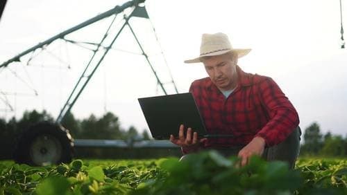 Geopolítica dos fertilizantes expõe vulnerabilidade do agronegócio