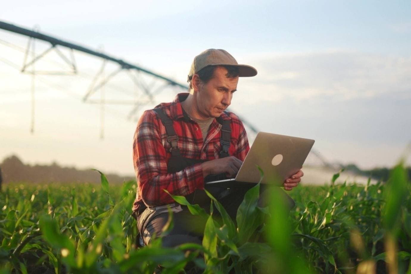 O capital que está ajudando o agro do Norte a crescer