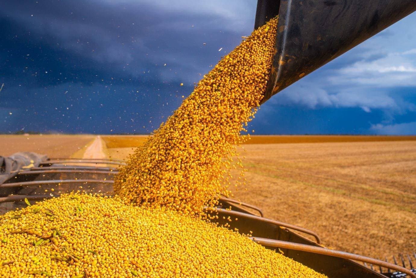 Sinergia e agro: os planos do Grupo Way para os próximos leilões de rodovias