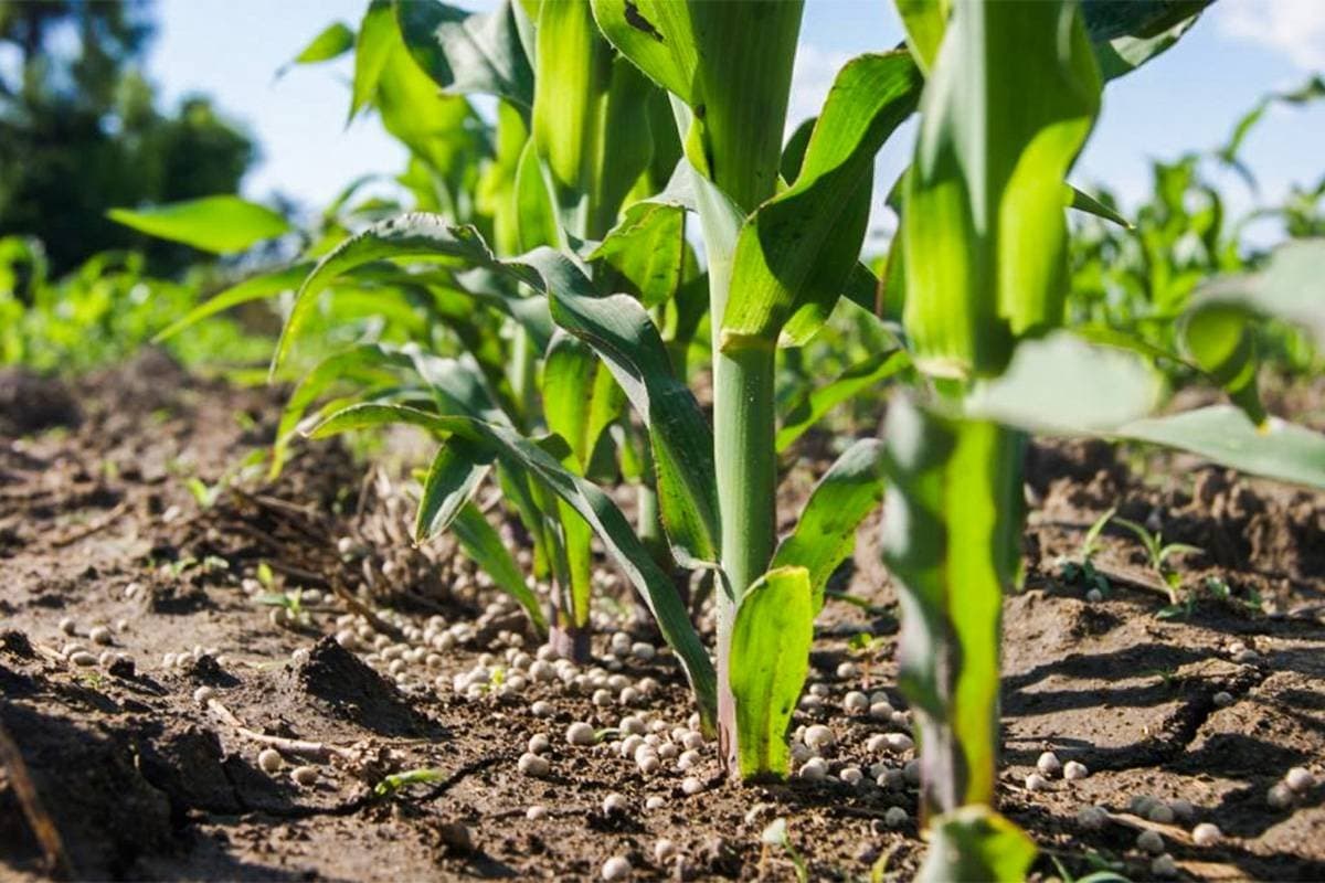 Onde estão os R$ 927 bilhões do agro? Spoiler: a soja não explica tudo