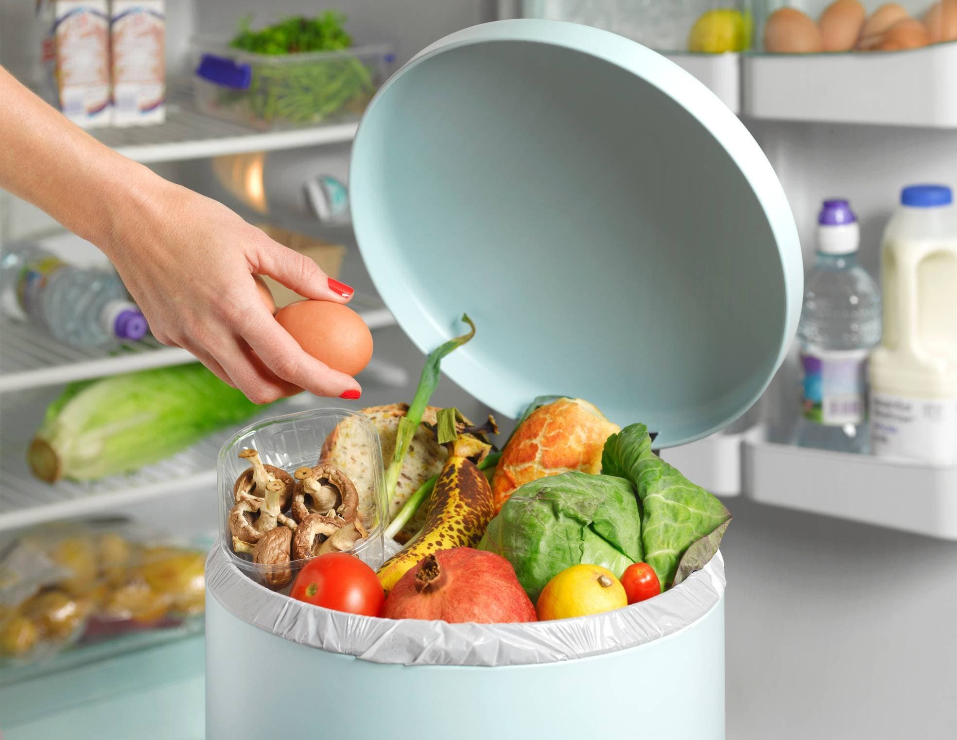 A contradição da abundância: como conectar o desperdício alimentar à agenda das empresas