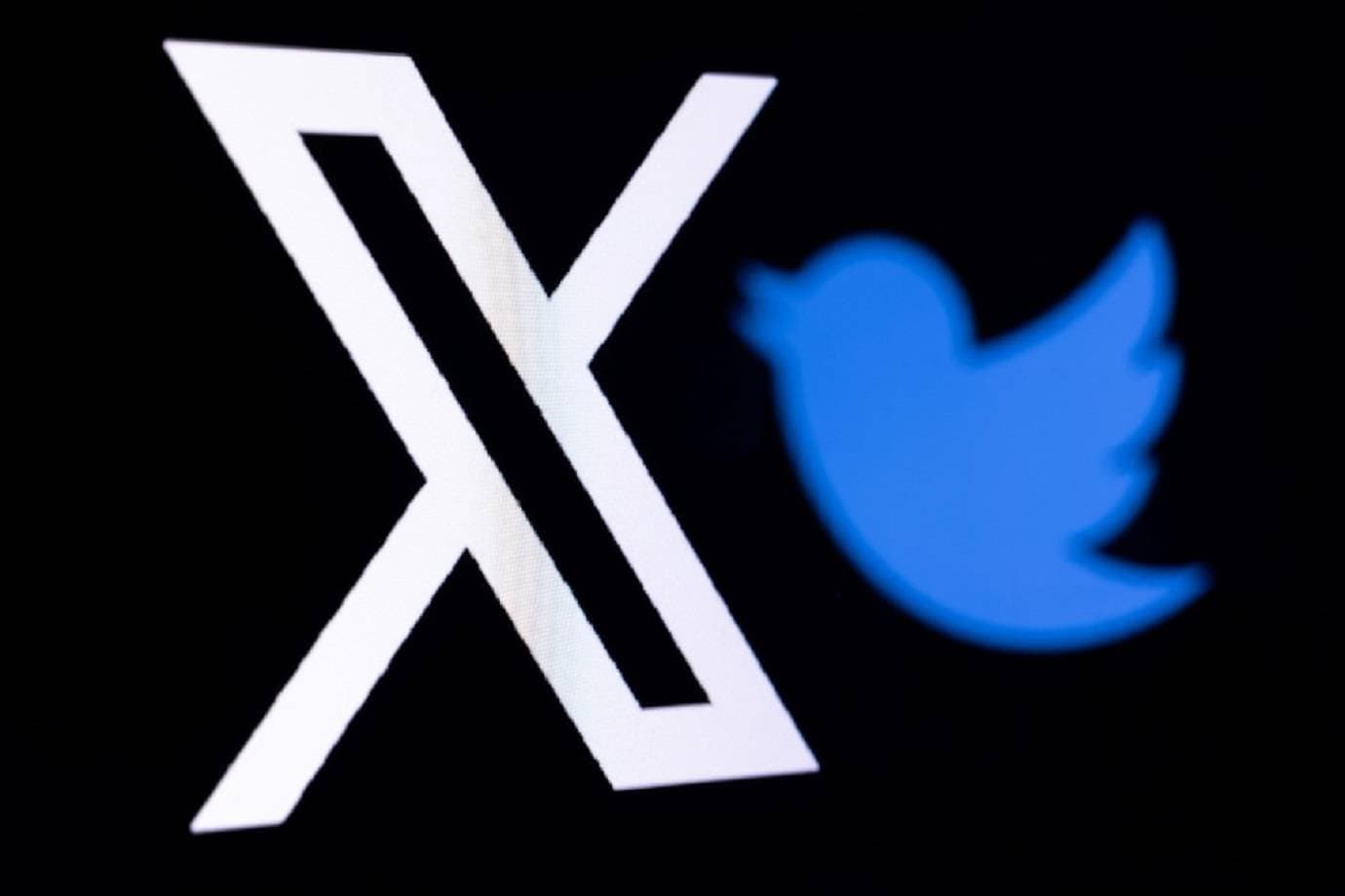 X faz parceria com corretoras cripto dos EUA para negociação pela timeline