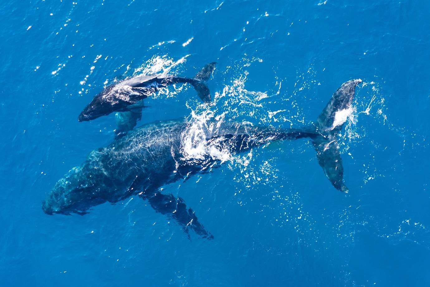 Água do mar vira fonte de hidrogênio em novo sistema desenvolvido na China