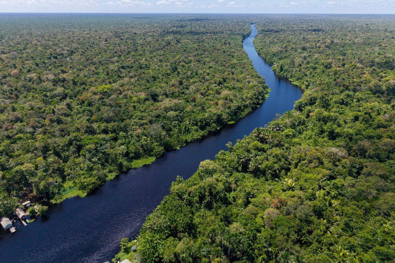 Rematar a Amazônia produzirá empregos, renda e qualidade ambiental
