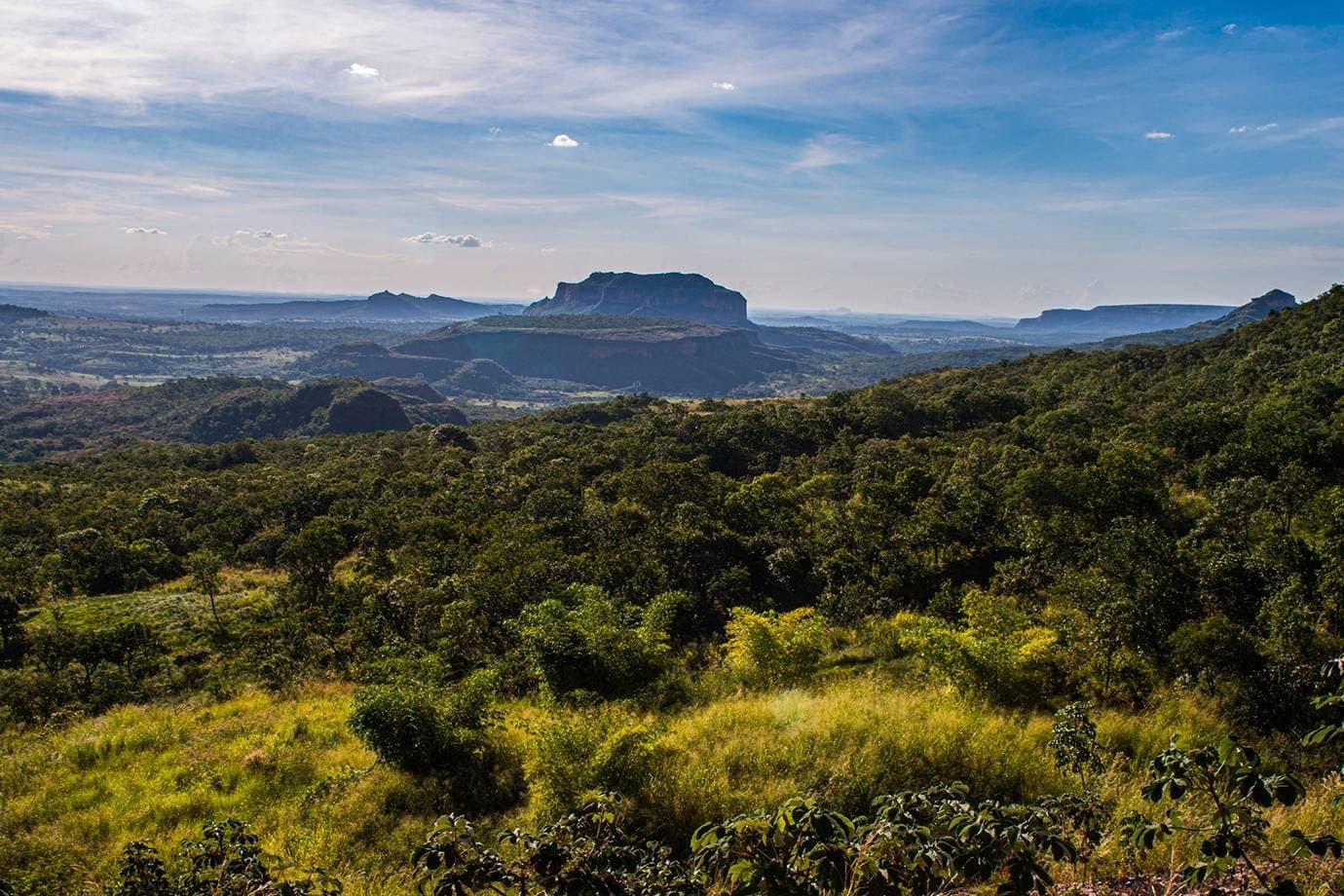 Cerrado perdeu 34% da vegetação nativa em quatro décadas, aponta MapBiomas