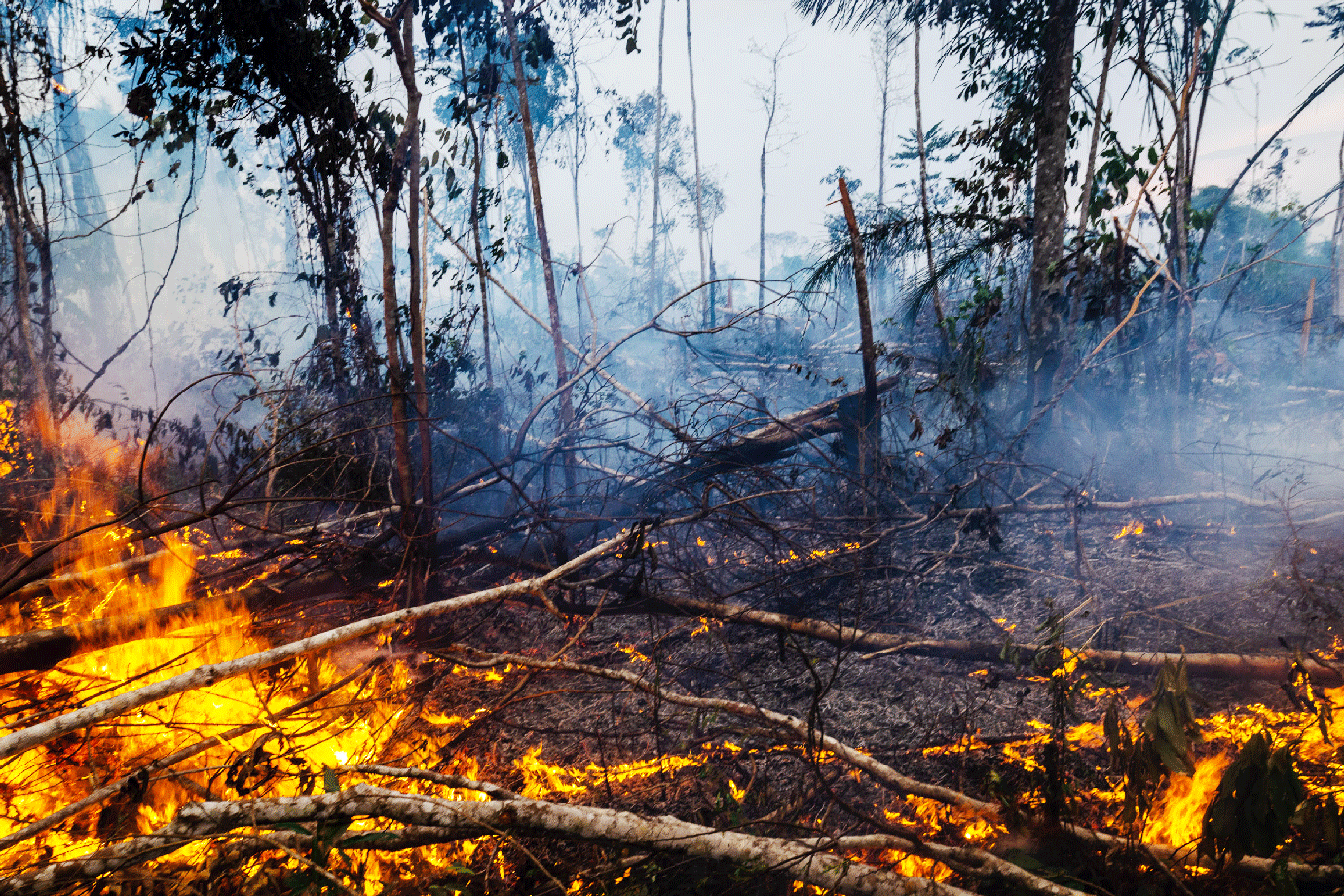 Foco de incêndio na Amazônia indica ação intencional, diz ministro