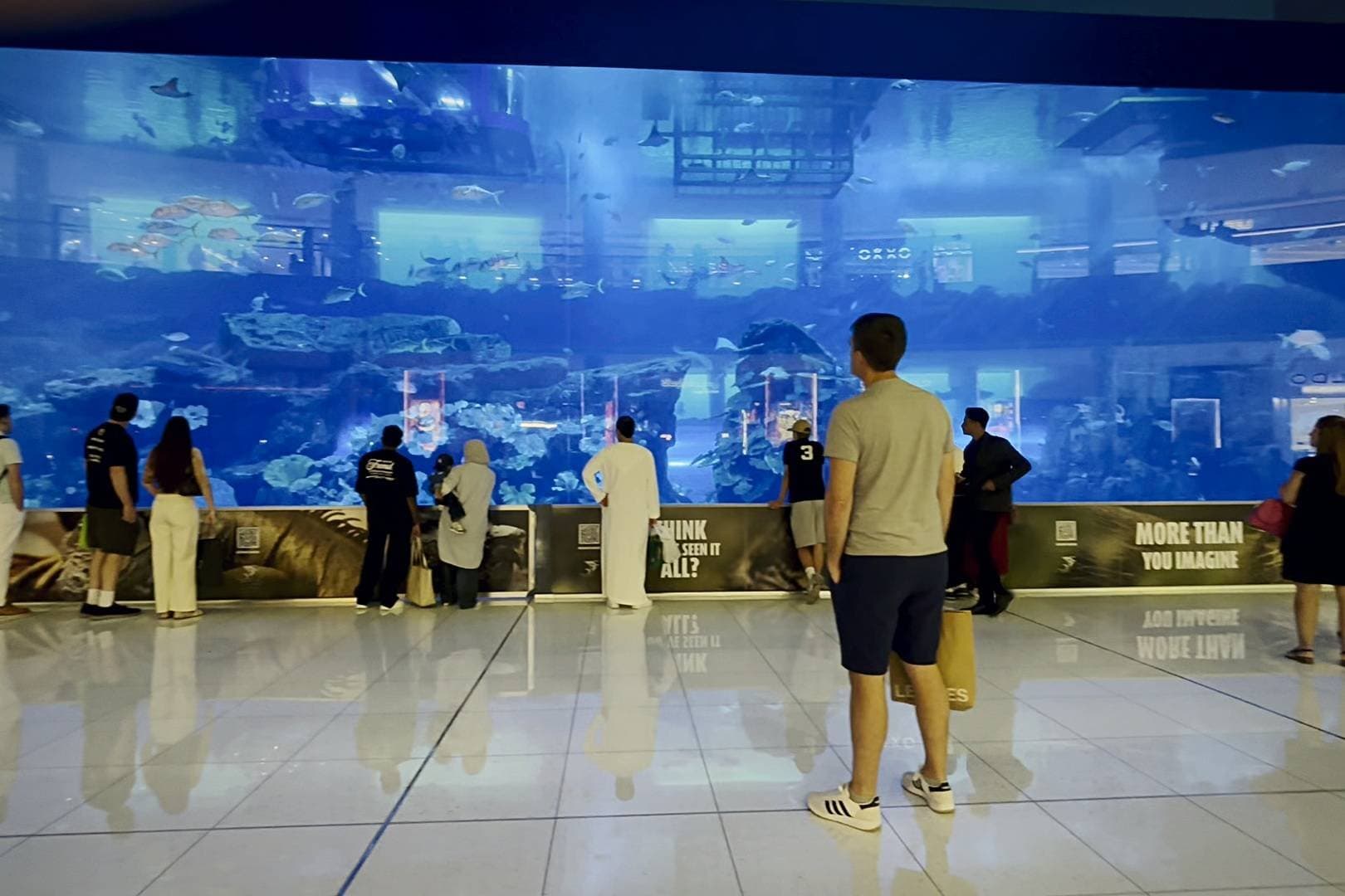 Shopping de Dubai tem 1.200 lojas, 400 tubarões e uma lição para o Brasil