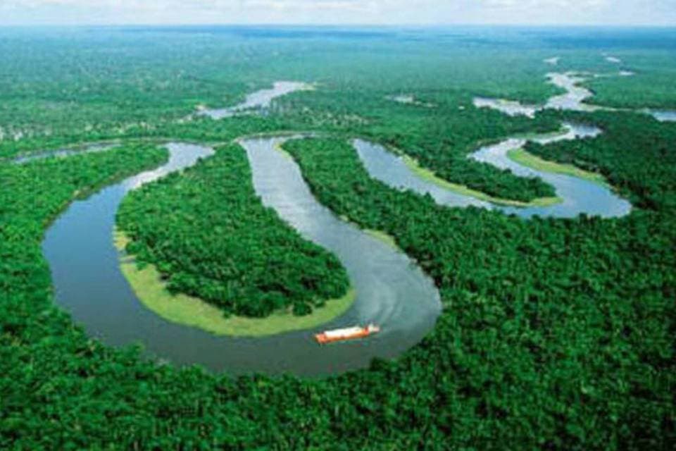 Eleição no Brasil pode mudar o destino da Amazônia, diz The New York Times