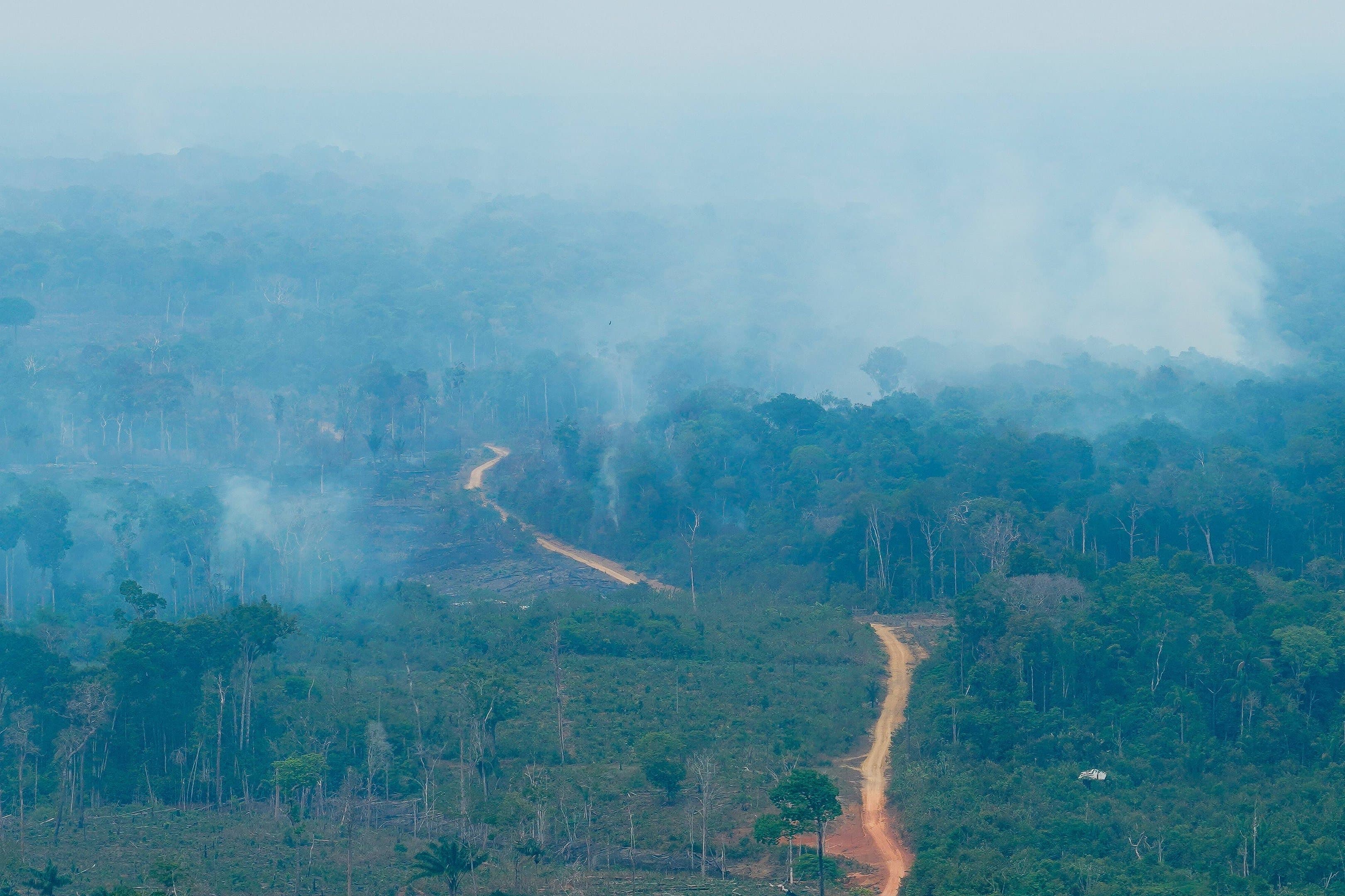 Fogo vira caso de polícia no Amazonas, e fumaça acompanha Manaus até as urnas