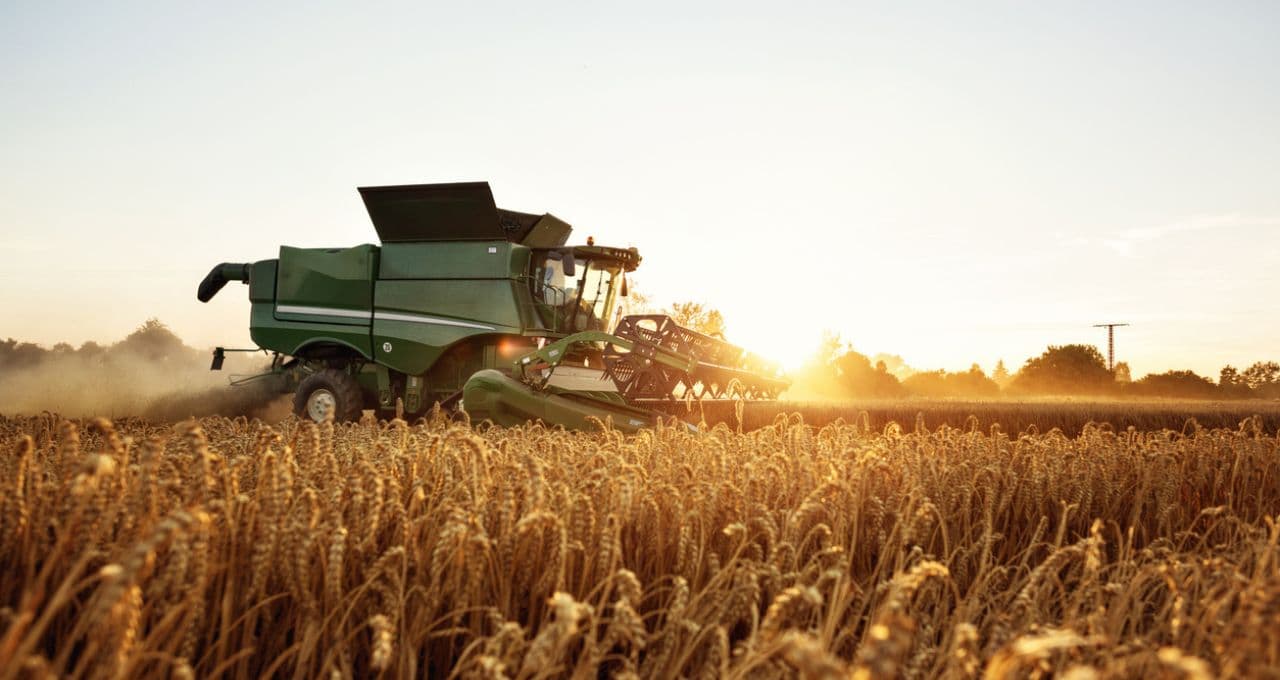 SLC Agrícola (SLCE3) pode transformar crise no agro em oportunidade, avalia BTG