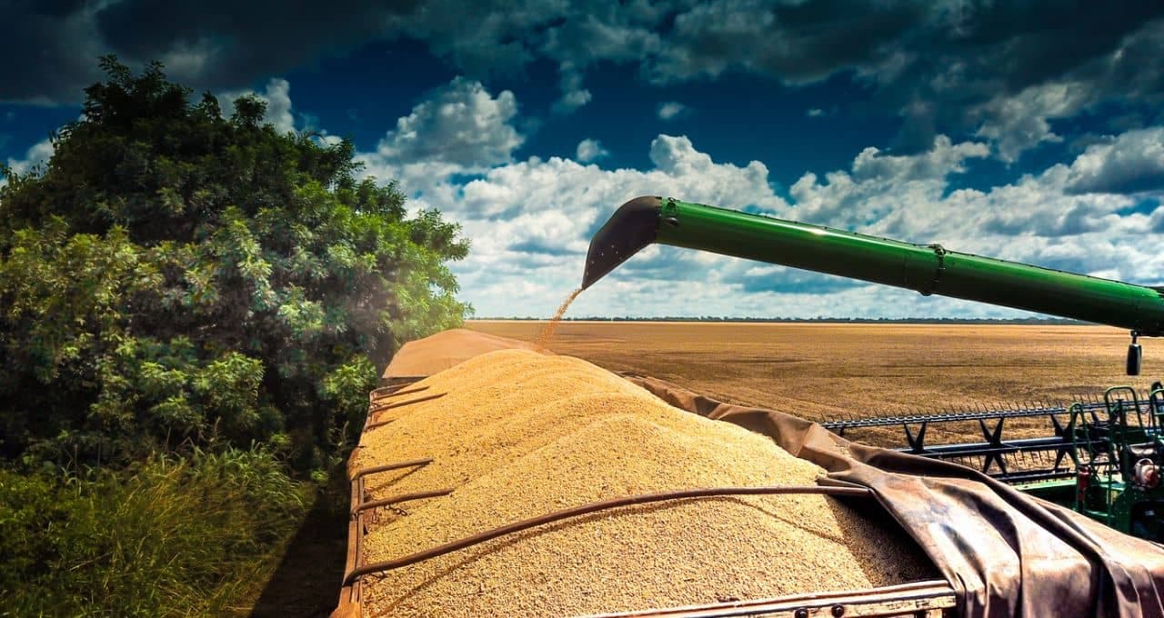 Importações de soja pela UE caem 4% no acumulado da safra 25/26; Brasil ganha participação