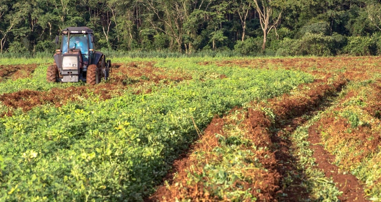 Fundo imobiliário do agronegócio rescinde contrato de fazenda após calote; IFIX recua
