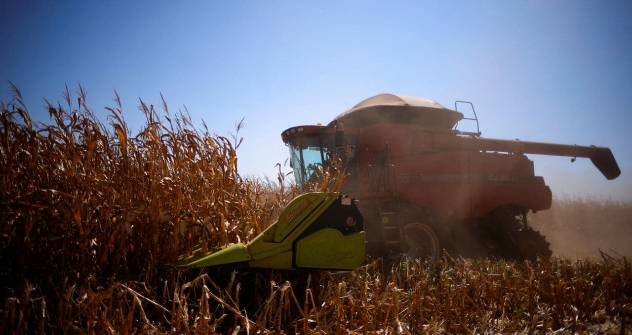 Conab passa a prever safra recorde de milho do Brasil em 25/26