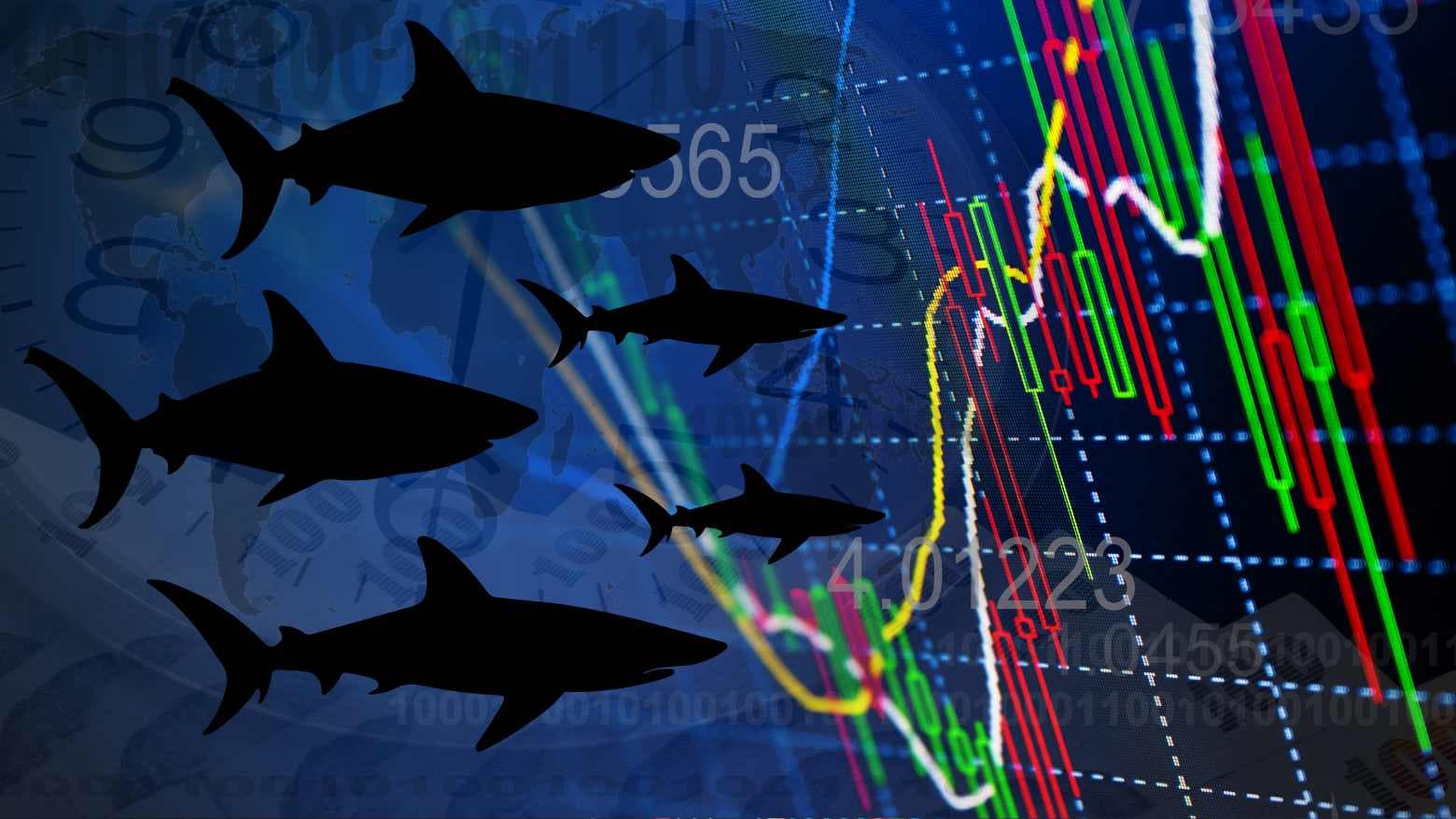 Bradesco (BBDC4), Banco do Brasil (BBAS3) e Santander (SANB11) em alerta: Por que os ‘tubarões’ estão cautelosos