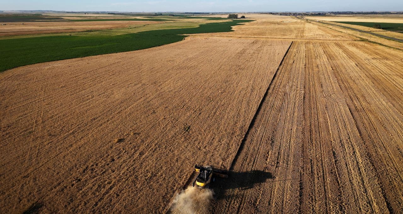 Agricultores argentinos retêm safra de trigo de olho em preços mais altos