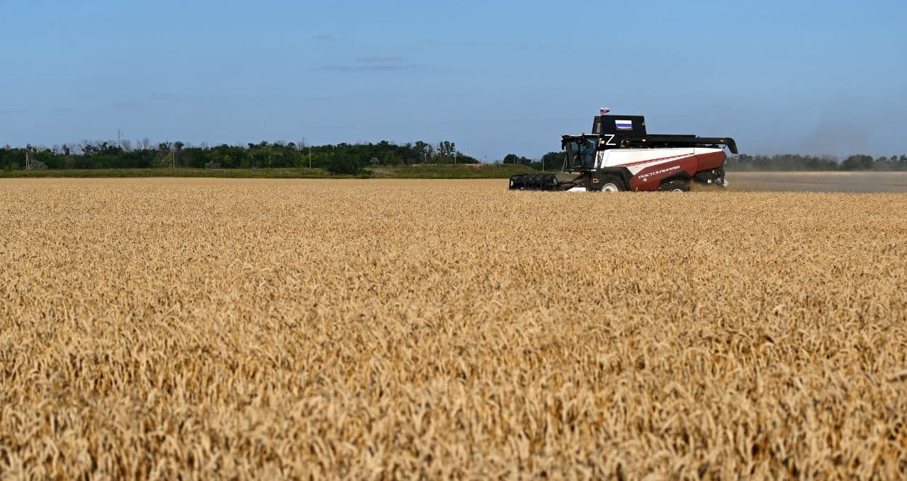 Ganhos na produção agrícola e estoques fortalecem sistema alimentar diante do ‘super’ El Niño