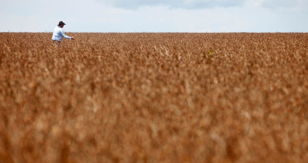 Área tratada com defensivos agrícolas sobe 5% no Brasil, enquanto valor do mercado avança 11%