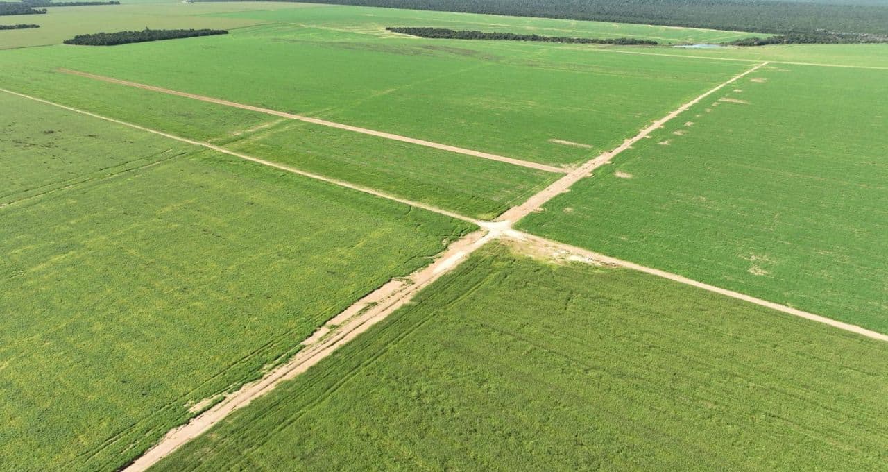 BrasilAgro (AGRO3) está ‘sempre pronta’ para compra imperdível — e não conta com fazenda ‘not for sale’