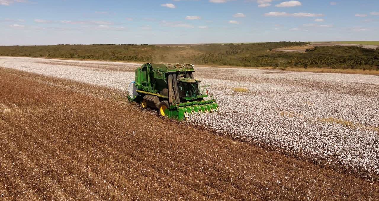 SLC Agrícola (SLCE3): UBS BB eleva recomendação com riscos do El Niño já precificados; é compra?