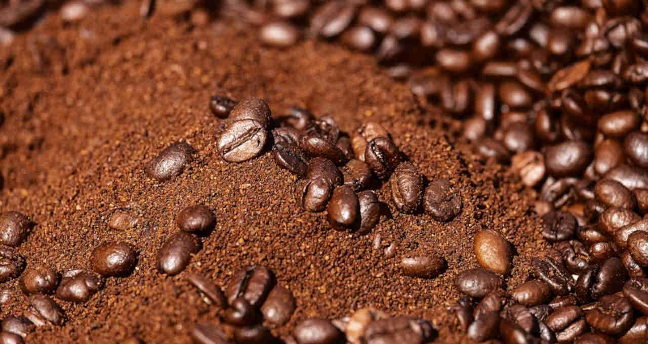 Café dispara à medida que estoques de arábica na bolsa se aproximam da mínima de 26 anos
