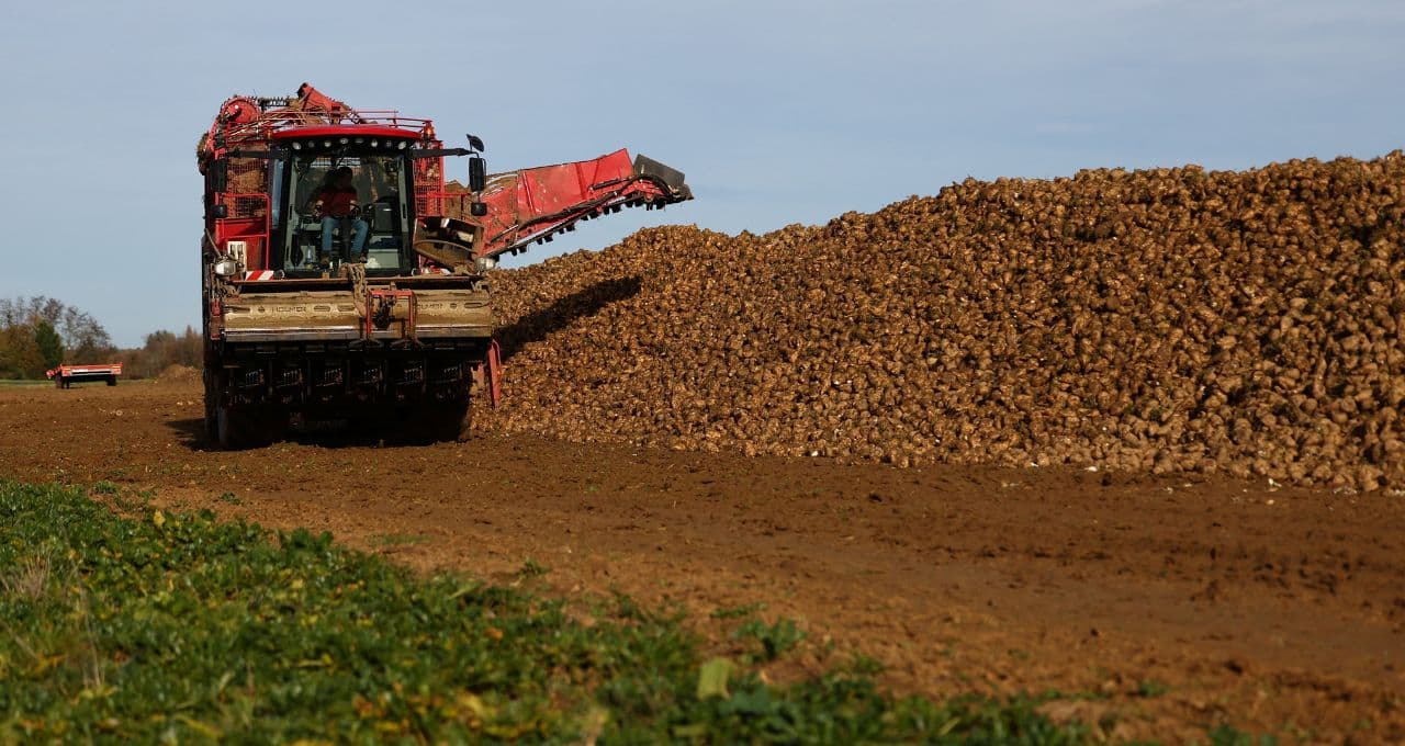 Tereos prevê produção de açúcar da UE no menor nível em 38 anos, em meio a clima adverso