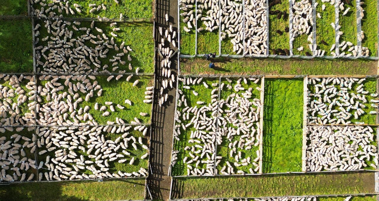 Crédito rural em alerta: operações problemáticas atingem recorde de R$ 207 bilhões e já representam 23,5% da carteira