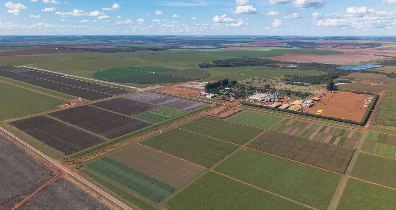 SLC Agrícola (SLCE3) vira top pick do JP Morgan e lidera altas da B3; para analistas, agro se aproxima do fim da crise