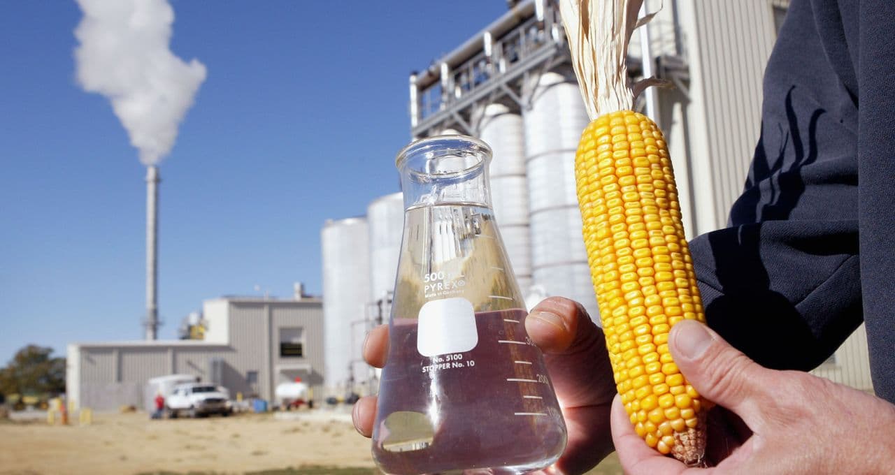 Etanol de milho cresce no Brasil, mas expansão esbarra em desafio bilionário da biomassa; solução estaria na cana-de-açúcar?