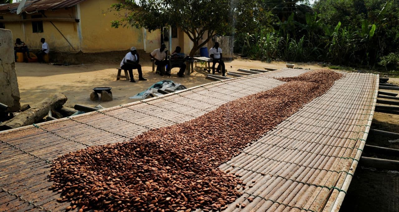 Cacau acumula queda de 11% na semana em Nova York; açúcar tem a menor cotação em 3 semanas