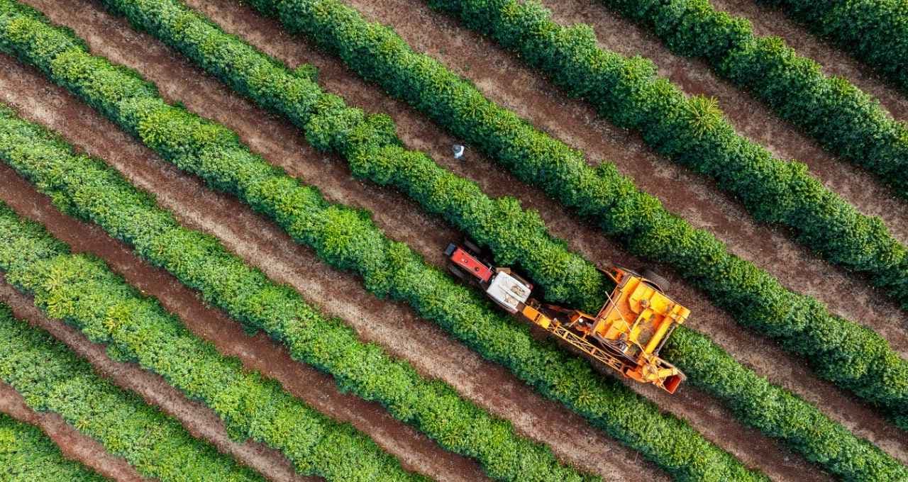 Nova regra para FIDCs aperta crédito no agro e afeta usinas e distribuidoras de insumos