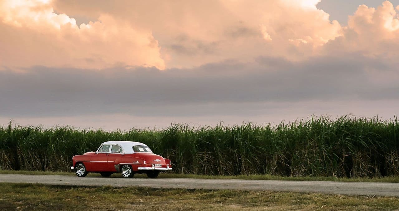 150 toneladas por hectare: como o CTC quer dobrar a produtividade da cana até 2040
