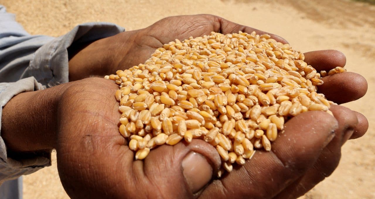 Preços mundiais dos alimentos se aproximam de máxima de 4 anos em setembro, diz FAO