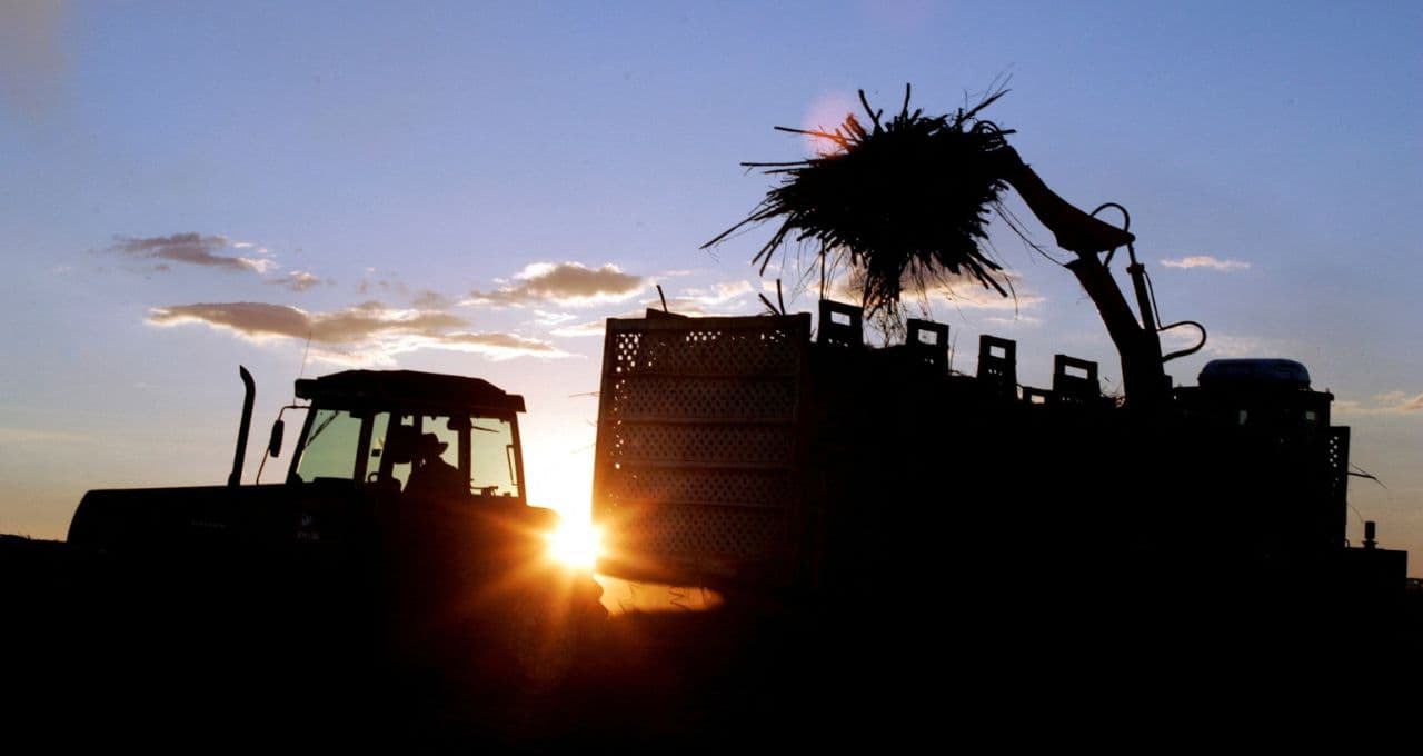 Usinas enfrentam dificuldades para moer cana no Brasil em meio às chuvas; portos também sofrem