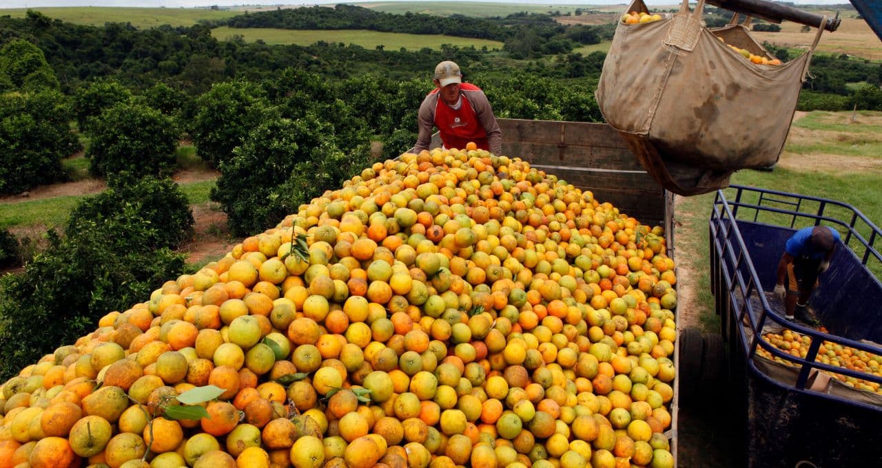 Exportação de suco de laranja do Brasil cresce quase 10% no 1º tri da safra 26/27, diz CitrusBR