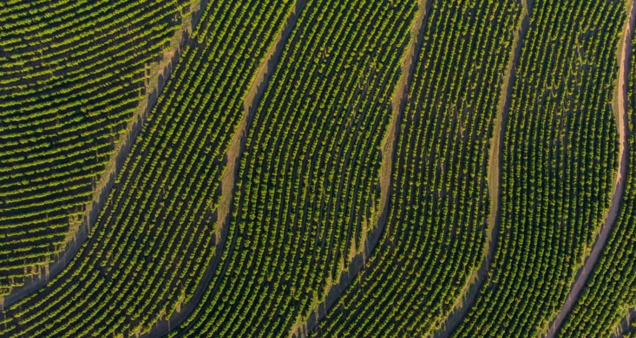 Opinião — Agroambiental em 2027: menos narrativas políticas, mais resultados