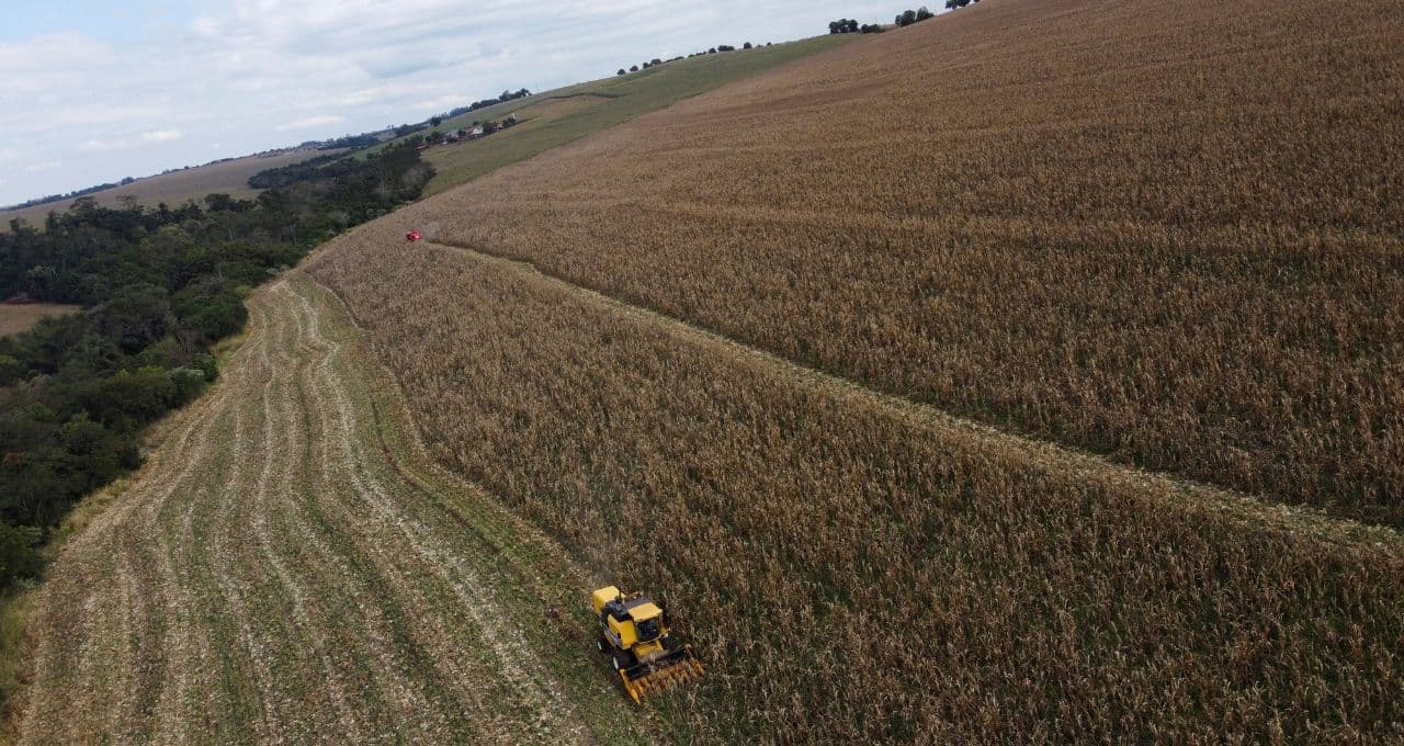 Produtor rural de MG acumula R$ 20 milhões em dívidas e busca reorganizar pagamentos na Justiça