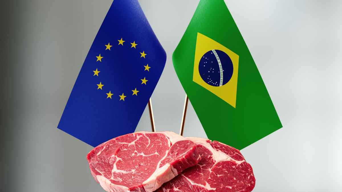 UE confirma veto à carne brasileira; veja os impactos para JBS (JBSS32), Marfrig (MBRF3) e Minerva (BEEF3)