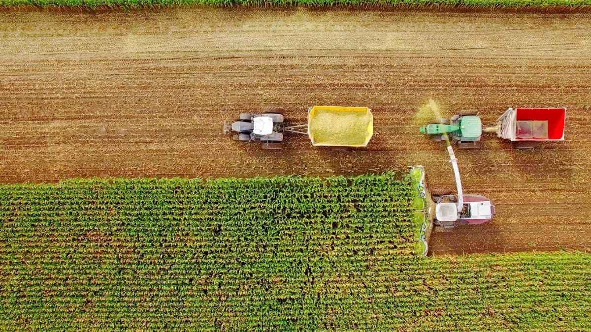 Itaú BBA abandona recomendação de compra para uma das ações queridinhas do agronegócio na B3; veja qual é